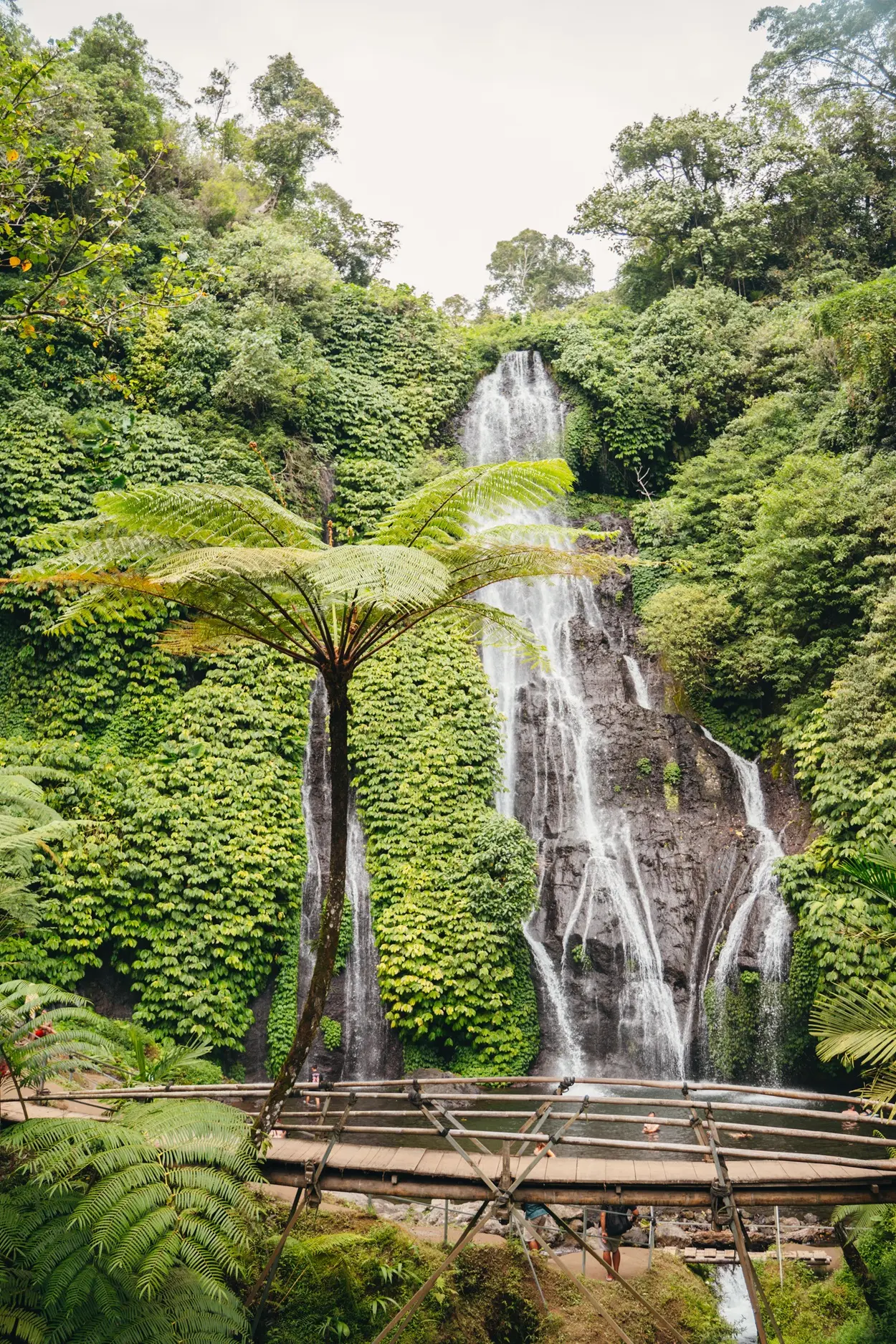 paysage bali